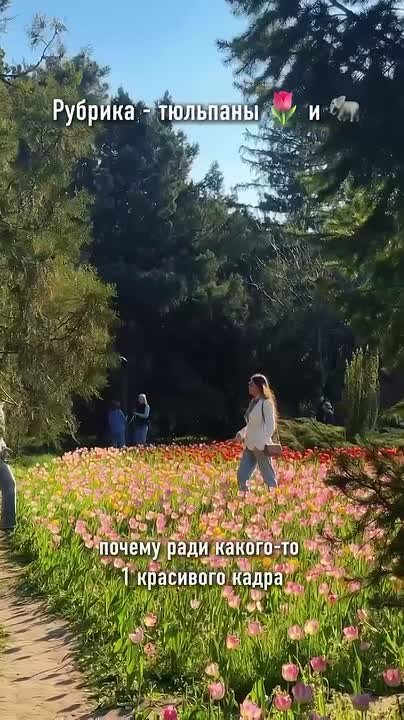 Тюльпаны и слоны в Ботаническом саду