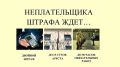 Предприниматель из Адлера задолжал 7 штрафов за своего водителя