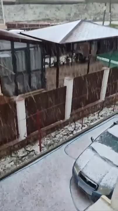 ��� ���� ������ ���������� ��������� �� ������