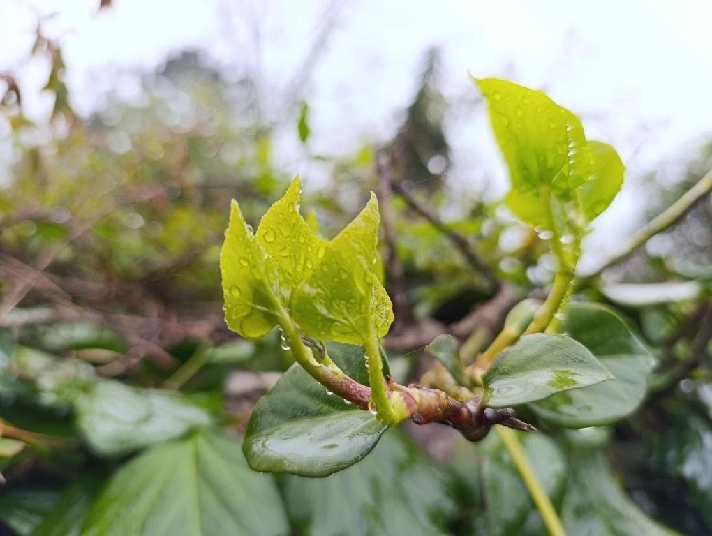 Доброе утро, прекрасный Сочи!