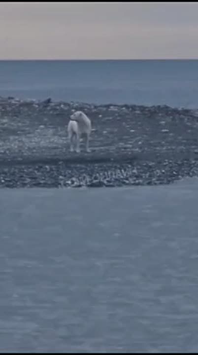 � ���������� ���, �������� ���� �� ������ � �������� ���� � ����, ��������� �����