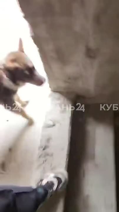 Что мы рассказывали 8 апреля: