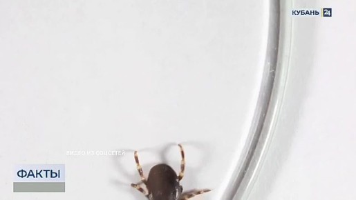 ������-��������� ��������� �� ������: �������� ������ ��� ���?