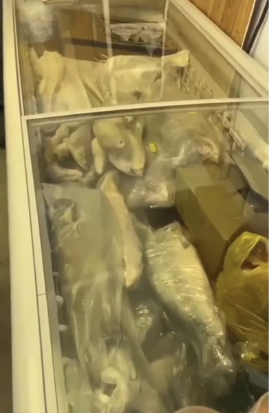 Более 700 килограммов рыбной продукции без маркировки изъято в результате рейда в Новороссийске