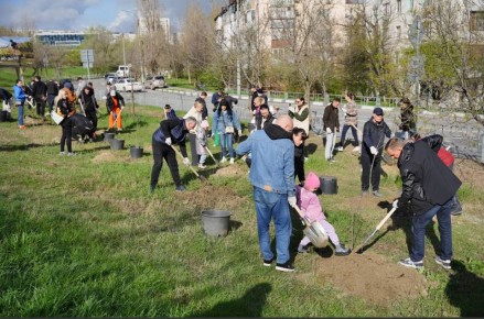 «Укоренись в Новороссийске»: молодые церцисы высадили в Южном районе города-героя в рамках масштабной акции по озеленению