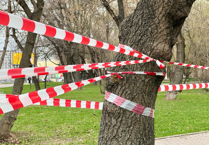 В Красноармейском районе Кубани упали обломки БПЛА, жителей выводят из опасной зоны