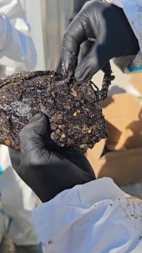 ������ ����� ������ ���������� � ������ ������, � ������������ ���������� ������