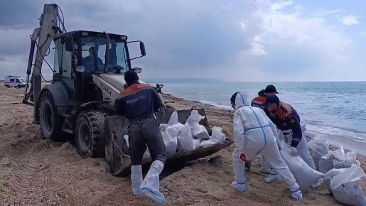 ��������� ������ �������� � ���������� ��������� ����� �� ������ � ������ ����� ����� ������ ������� ��������������