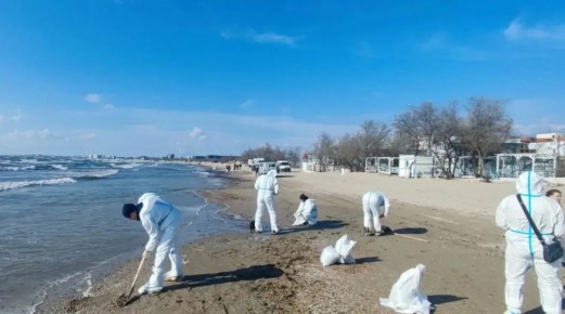 На центральный пляж Анапы выбросило мазут — нефтепродукты уберут в течение суток