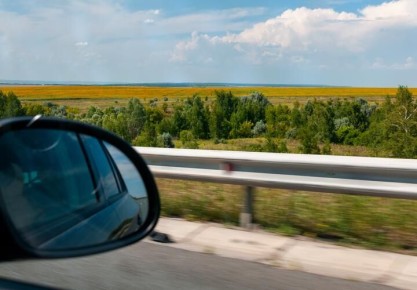 Экономика Кубани вышла на новый цикл роста: IT-отрасль встала в один ряд с АПК и курортами