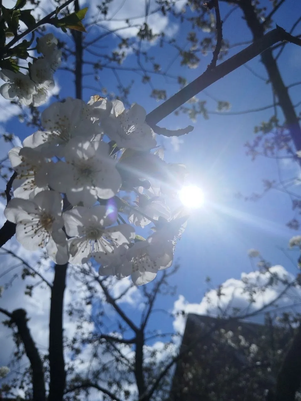 О погоде на 14 апреля . В Краснодарском крае облачно с прояснениями