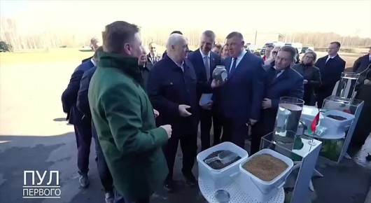 Лукашенко прибыл проверять рыбное хозяйство — один из докладчиков заявил, что готов съесть корм для рыб, чтобы доказать его высокое качество