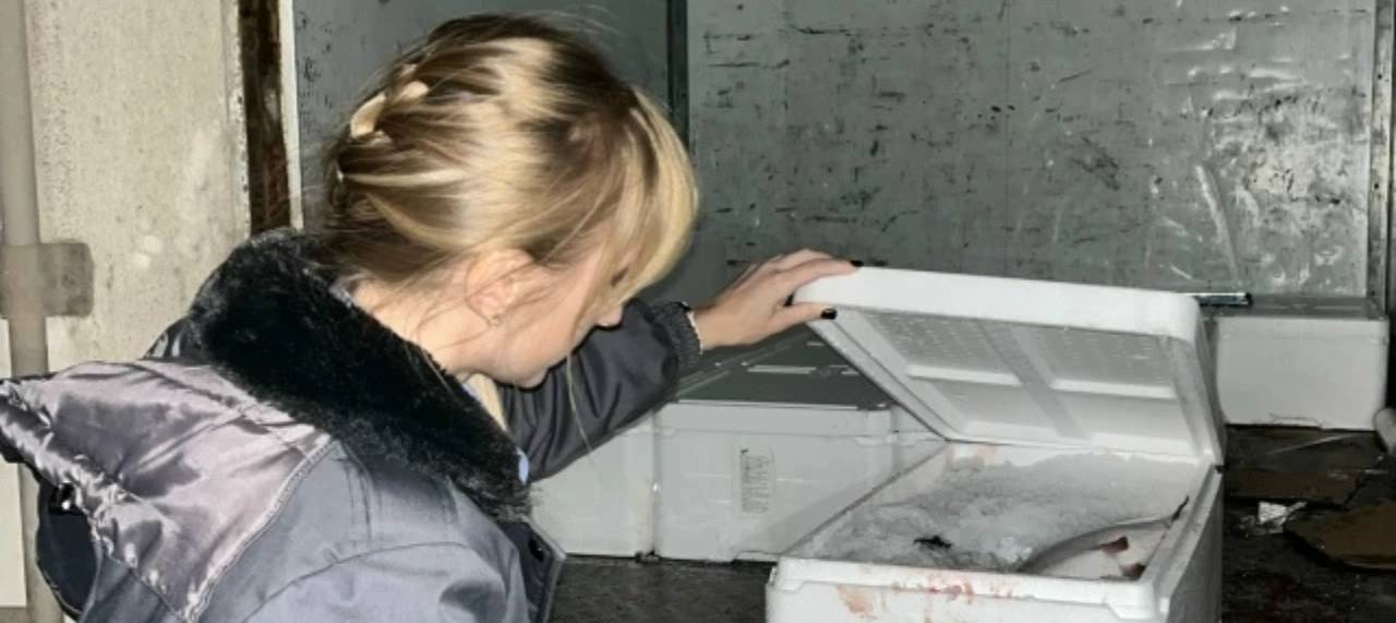 Почти полтонны загадочной рыбы конфисковали в Успенском районе