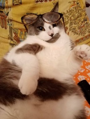 ������ ����, ������!. ��������� +14 ��