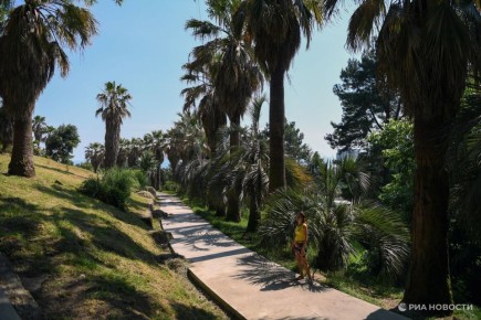 ����������� ��������� � ���������� � ��������� ������������ �����