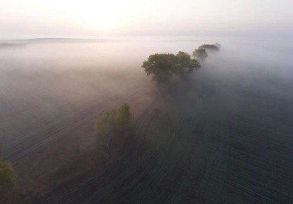 ��� ���������, ���� �� �����