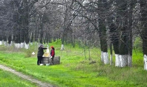 К наведению санитарного порядка в Ейске и Ейском районе присоединяются трудовые коллективы муниципалитета