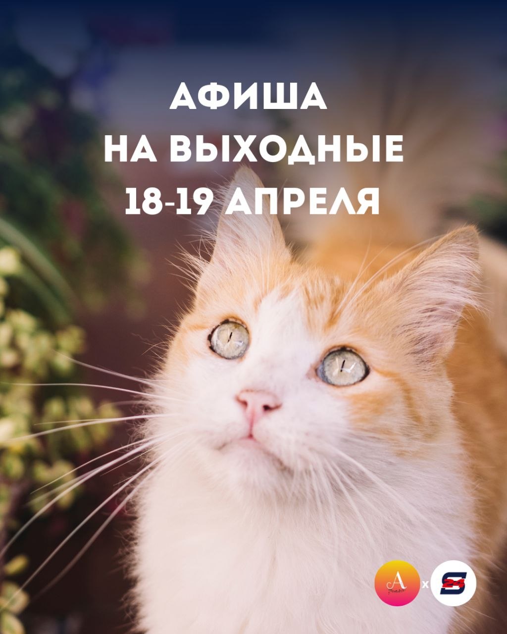 Куда сходить на выходных 18-19 апреля?