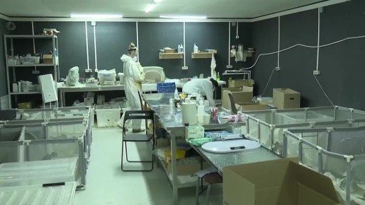 В реабилитационном центре Анапы продолжают помогать птицам