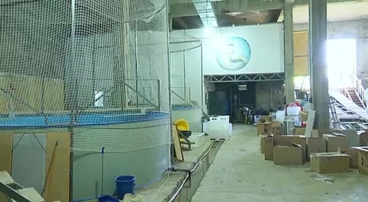 ������ ���������� �������� � �����