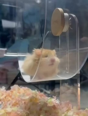 �������� ������ ����-���� �� ����� ������� ������, ����� � ��� �� �����