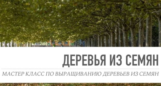 � ������ �������������� ������� ���������� � ������������� � ������-����� ������� ������-������ �� ����������� �������� �� �����