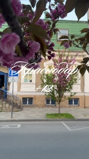 ������ ����, ���������!. � ������� ������ ����, ���������� ���������� +12�C