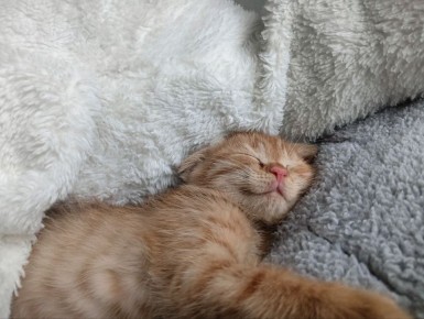 ������ �� ������ 19 ������: