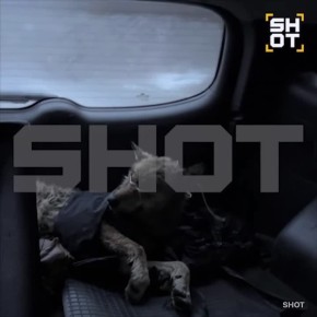 �������� ����� � ���������� ������ ������ ������������� �������