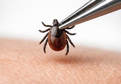 �����. �����. ������. �������. � ��������� ����������, ������� ������ � ����, ����� �� ������� �� �������