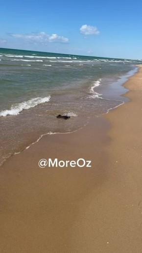 ����� ����� �� ����� � �����