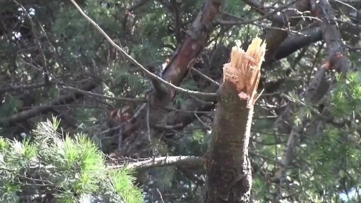 ����� ����������� ����� ���������� ���� �� �����-������������ ���� � ������ ��������� ����� � ������ ������� �������� ������