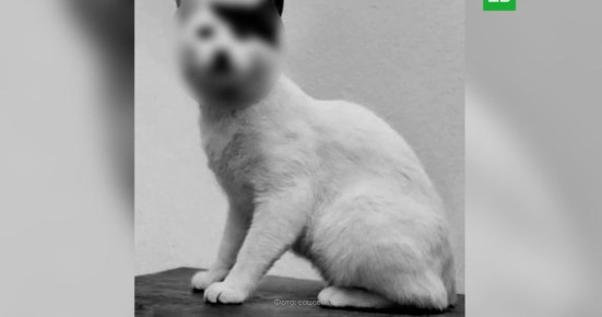 ���������� ����������� �� ���������� � ���������� ��������