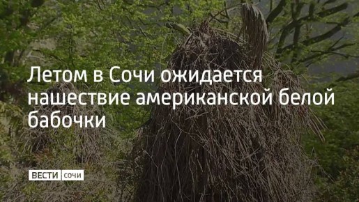 ����� � ���� ��������� ��������� ������������ ����� �������