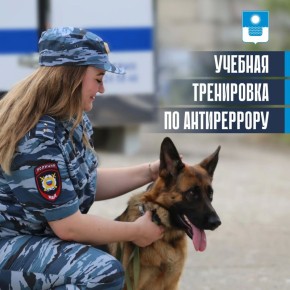 22 ������ ������� �������������������� ������ � ��������������� ������������ ����������