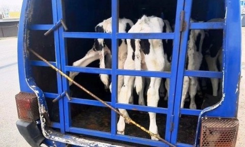 � ������������� ������ ���������� ��������� ���������� ����� ��������� ��� ��� ����������