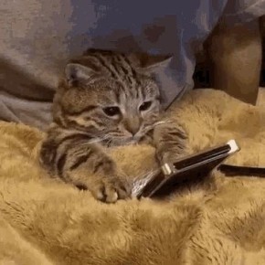 � ������� ���������� ������� ������ ������ VPN�