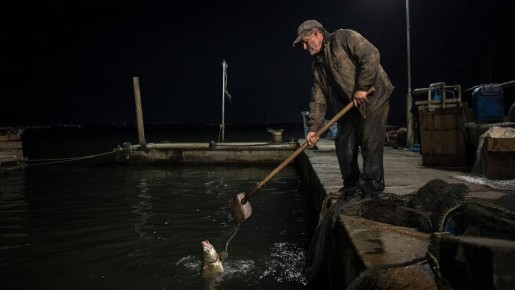 � ������������� �� ����� ������ ��������� ������ ��������� ��� � ������