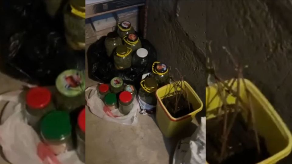 � ������������� ������ ������� ������� � ������� ������ ���������� ����������