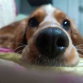 ������ ����, ������!. ��������� +13 ��