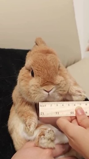 ��� ����������!. �� � MAX