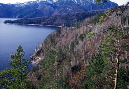 ������������ ��������� ��������, �������������� ������� ����� � ������ ����������