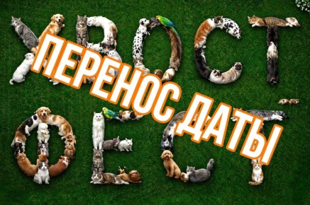 ��������, �������. ��-�� ��������������� �������� �������, ��������� ��������� ������ ������ ����, ��������������� �� 25 ������, �����������