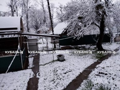 ��� �� ������������ 23 ������: