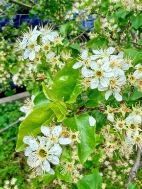 � ������ �� 24 ������. � ������������� ���� �������