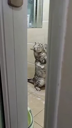 ����� �������, ��� ���� ����� �������, ���� �� ���������� �������� ���