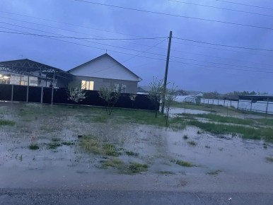 ������ ����� �������� � ��� ���� ��������� � ������������