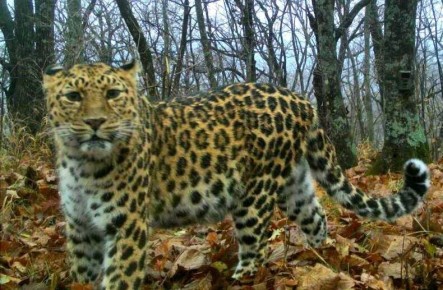 �������� � ������� ������� ���������� ����