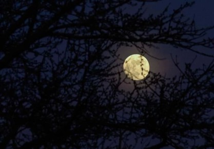 ��������� �� ������, �������� ��������� �� ���� �������: ��� ���������, ���� �� �����