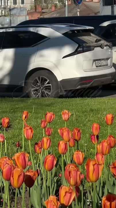 ������ ����, ���������!. � ������� ������ ������� ���������